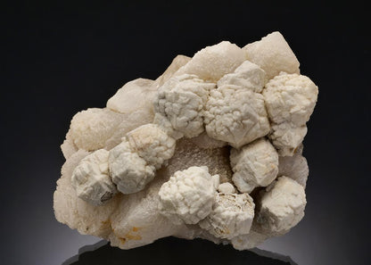 CC56616 specimen image