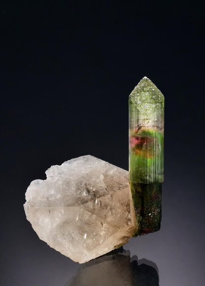 CC56758 specimen image