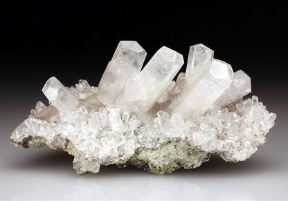 CC5676 specimen image