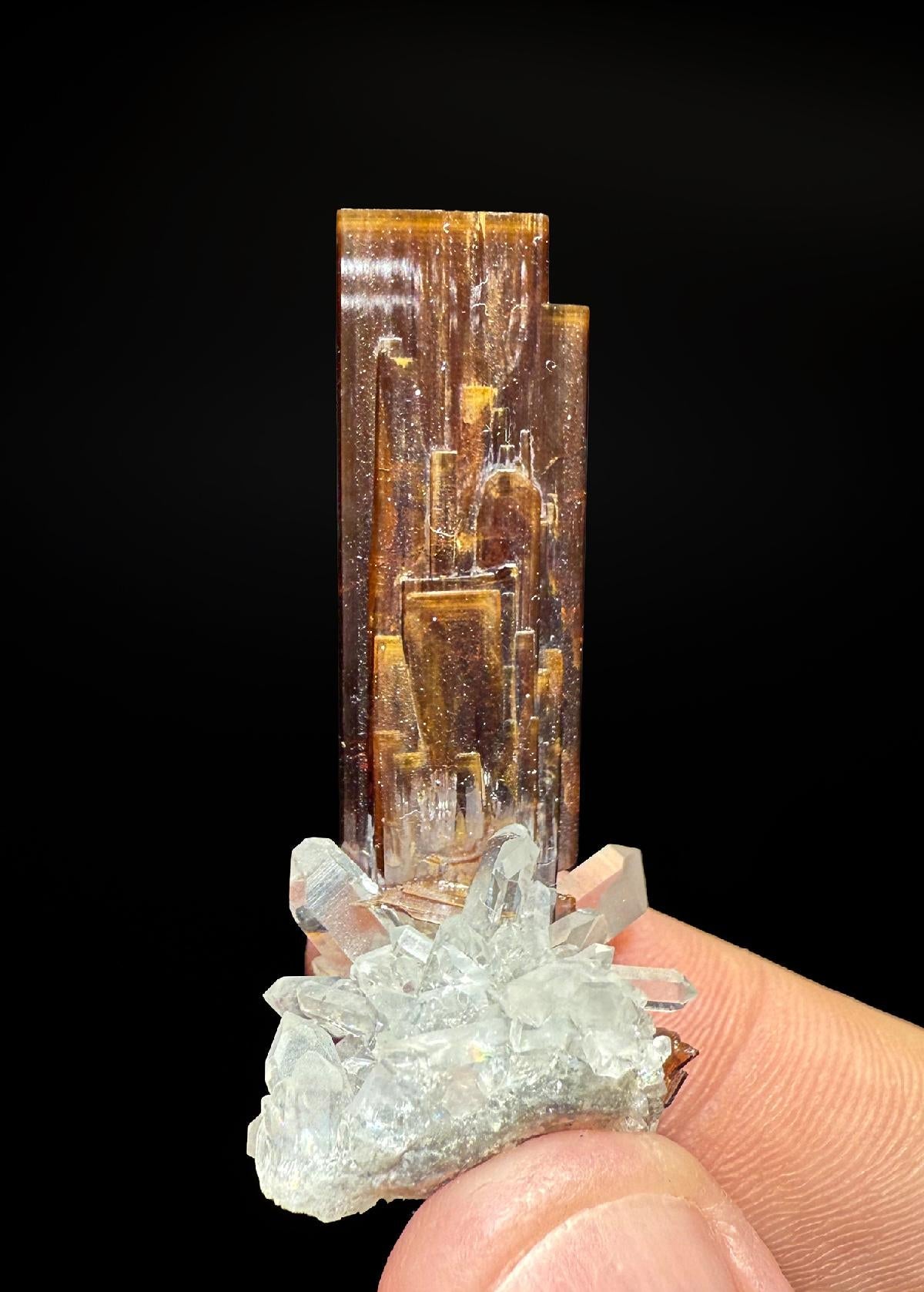 CC56766 specimen image