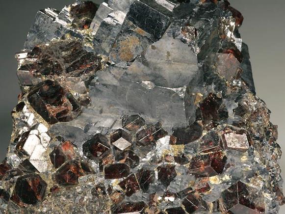 CC569 specimen image