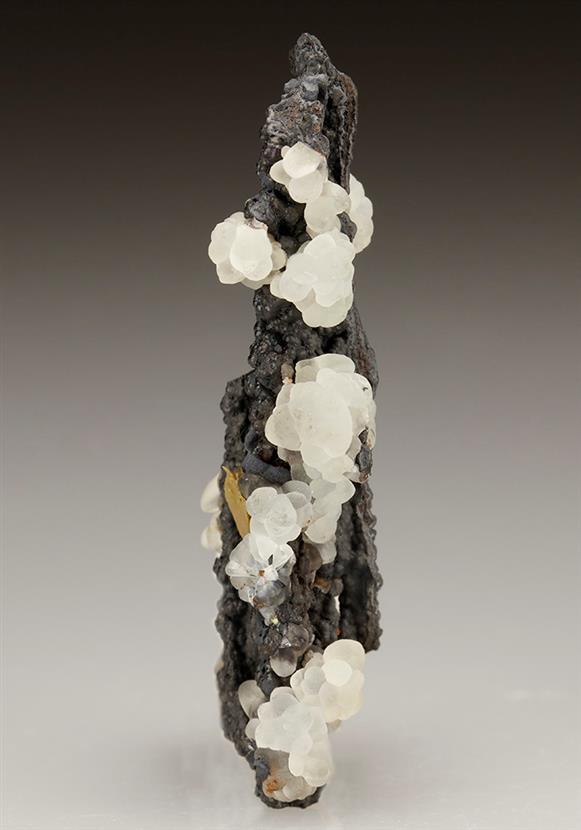 CC5714 specimen image