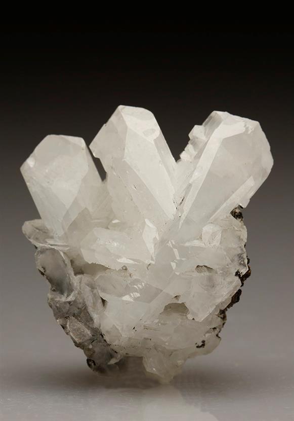 CC5718 specimen image