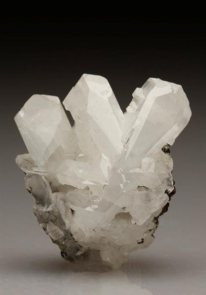 CC5718 specimen image
