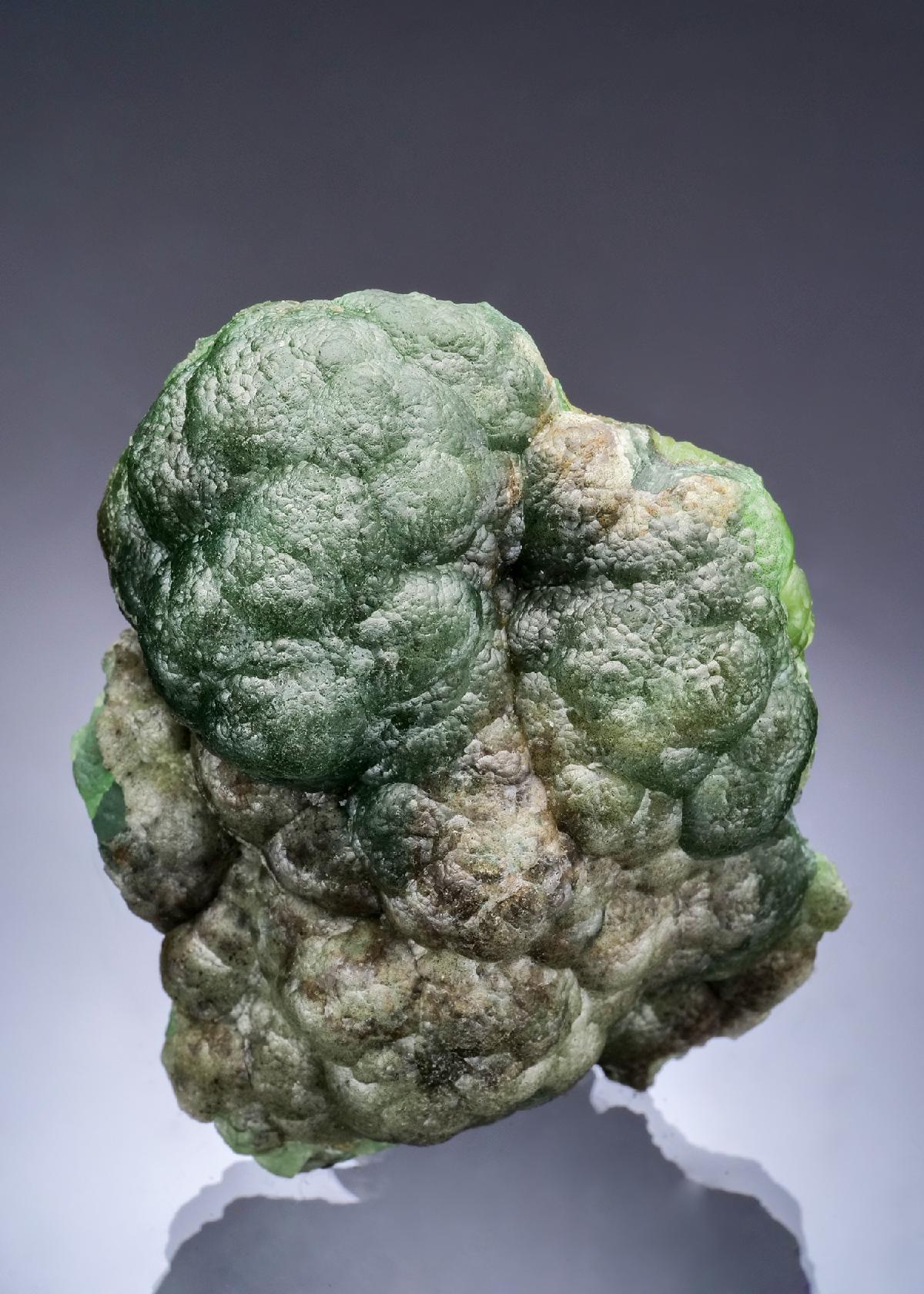 CC57216 specimen image