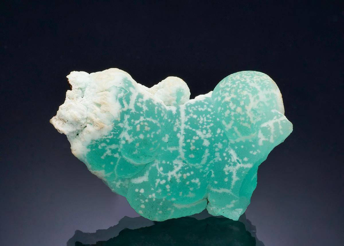 CC57230 specimen image