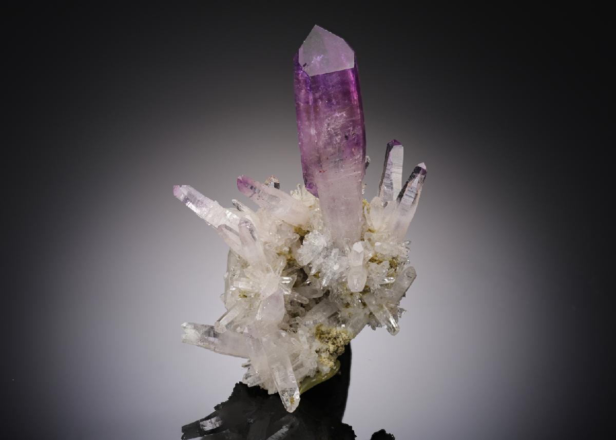 CC5729 specimen image