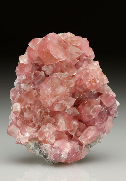CC5730 specimen image