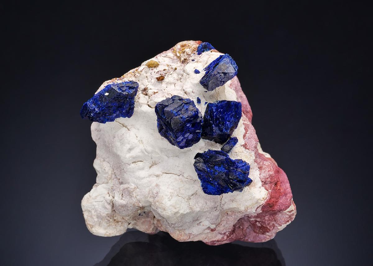 CC57328 specimen image