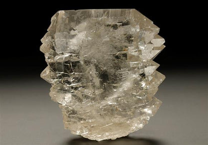 CC5736 specimen image