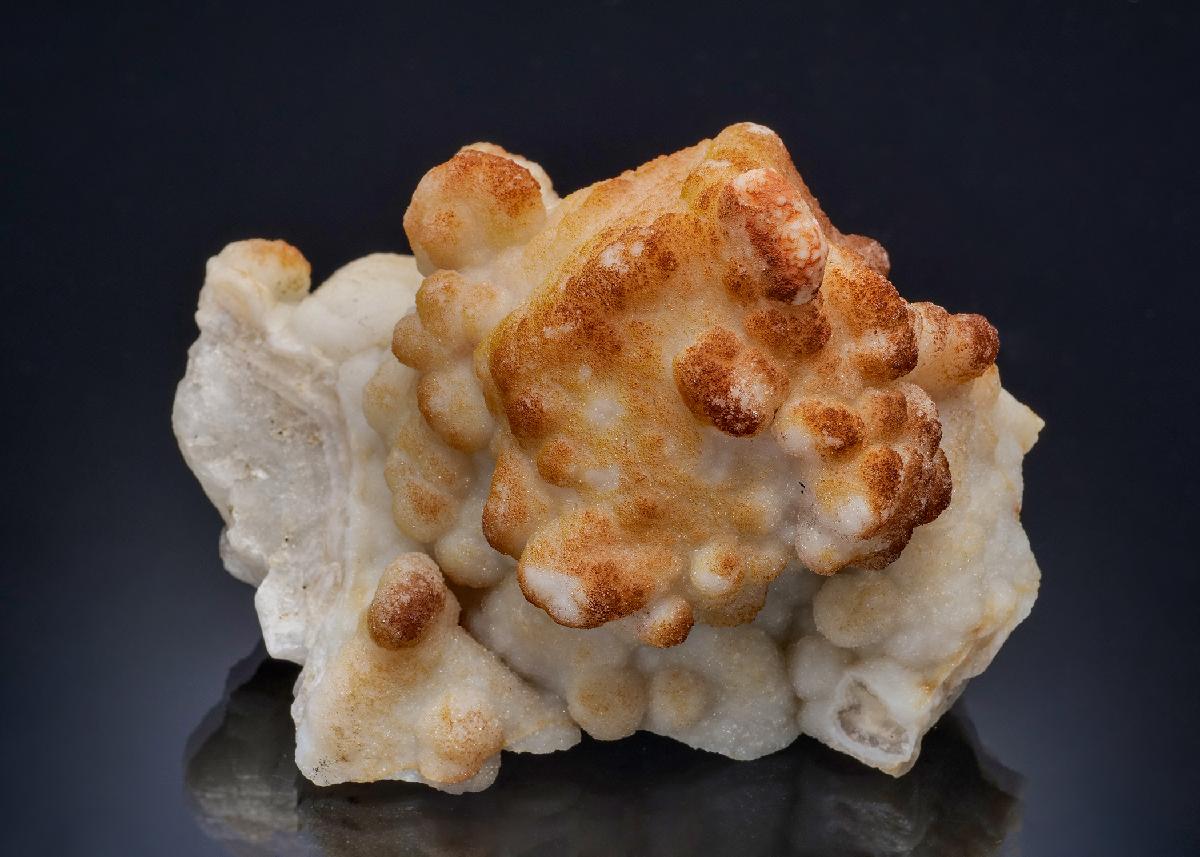 CC57362 specimen image