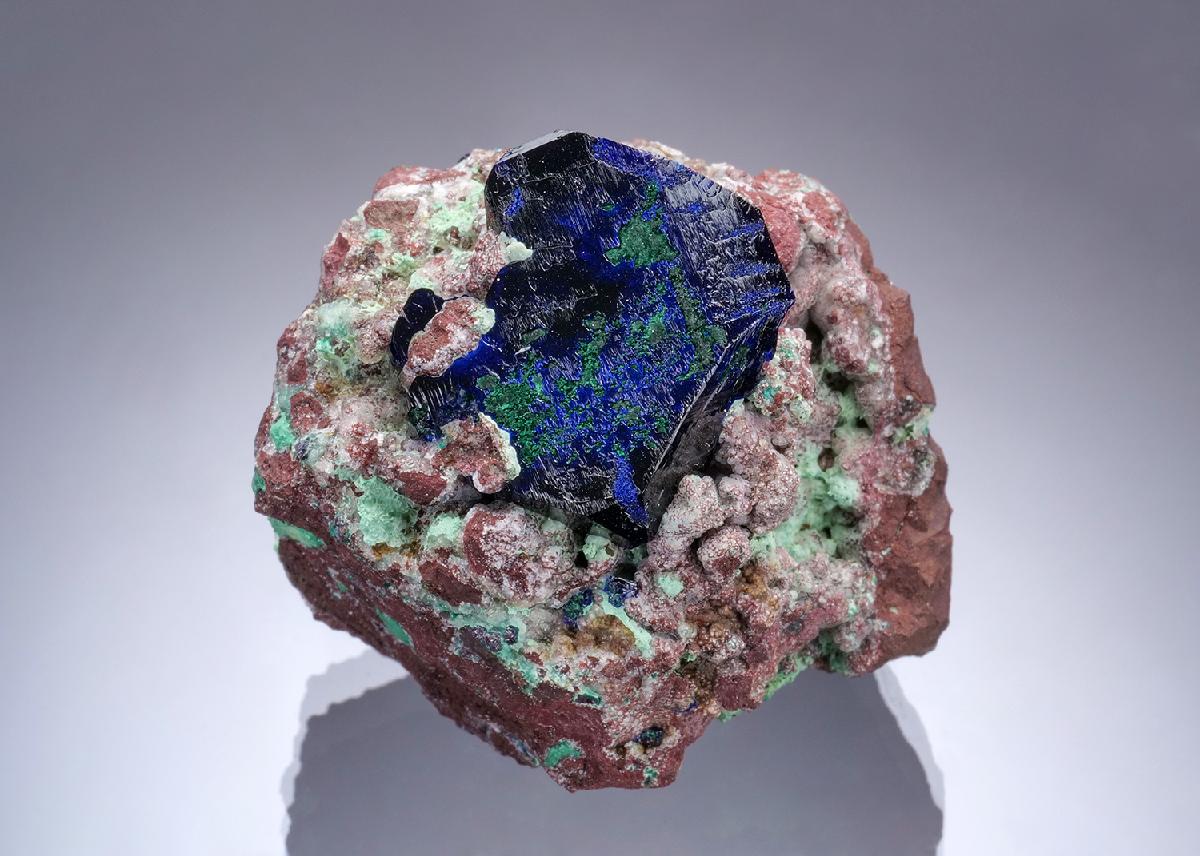 CC57370 specimen image