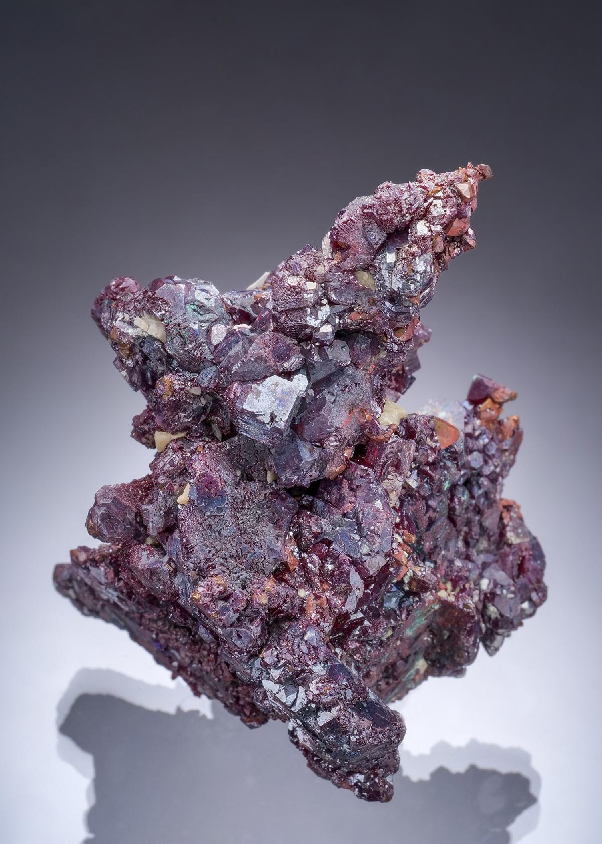 CC57372 specimen image