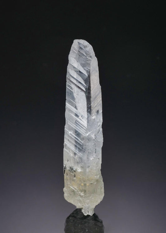 CC57404 specimen image