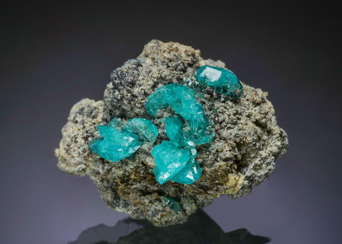 CC57596 specimen image