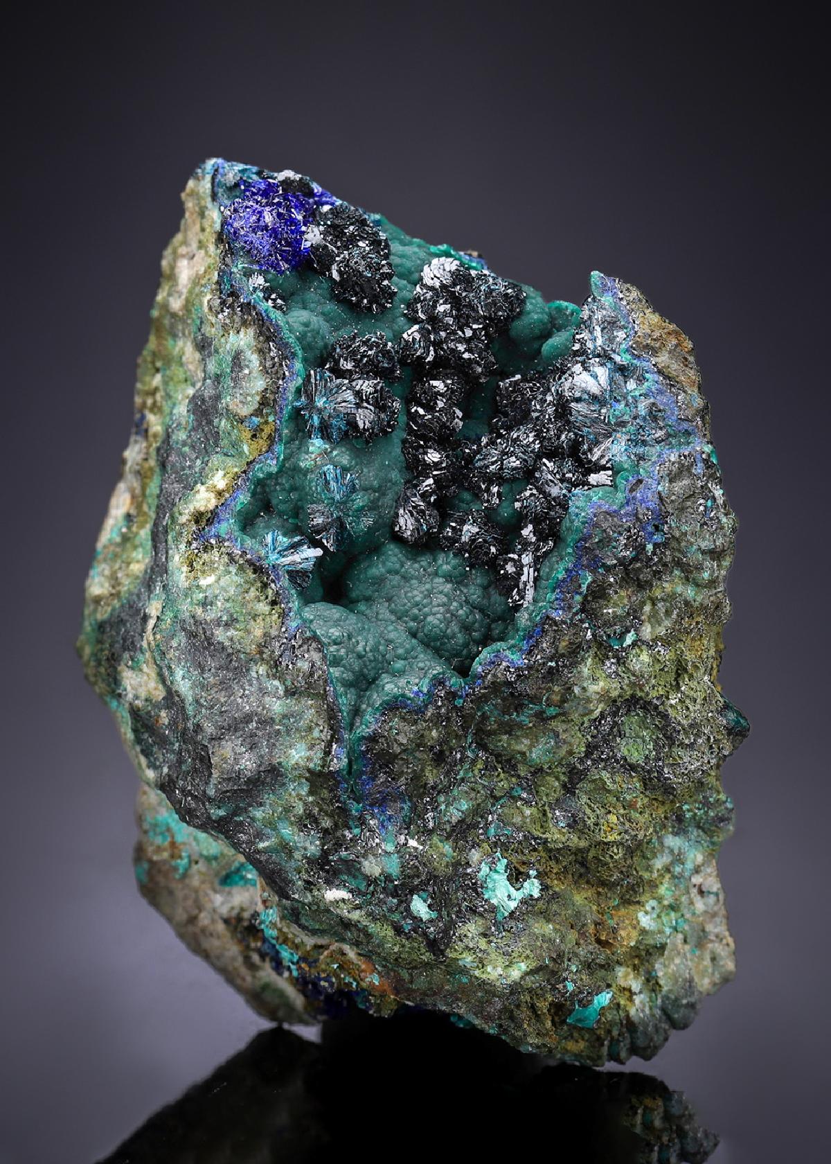 CC5771 specimen image