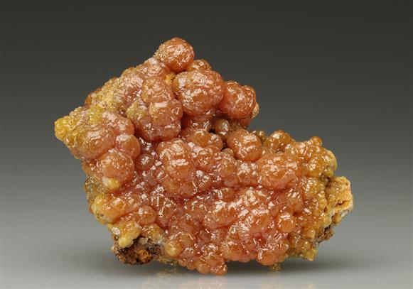 CC5777 specimen image
