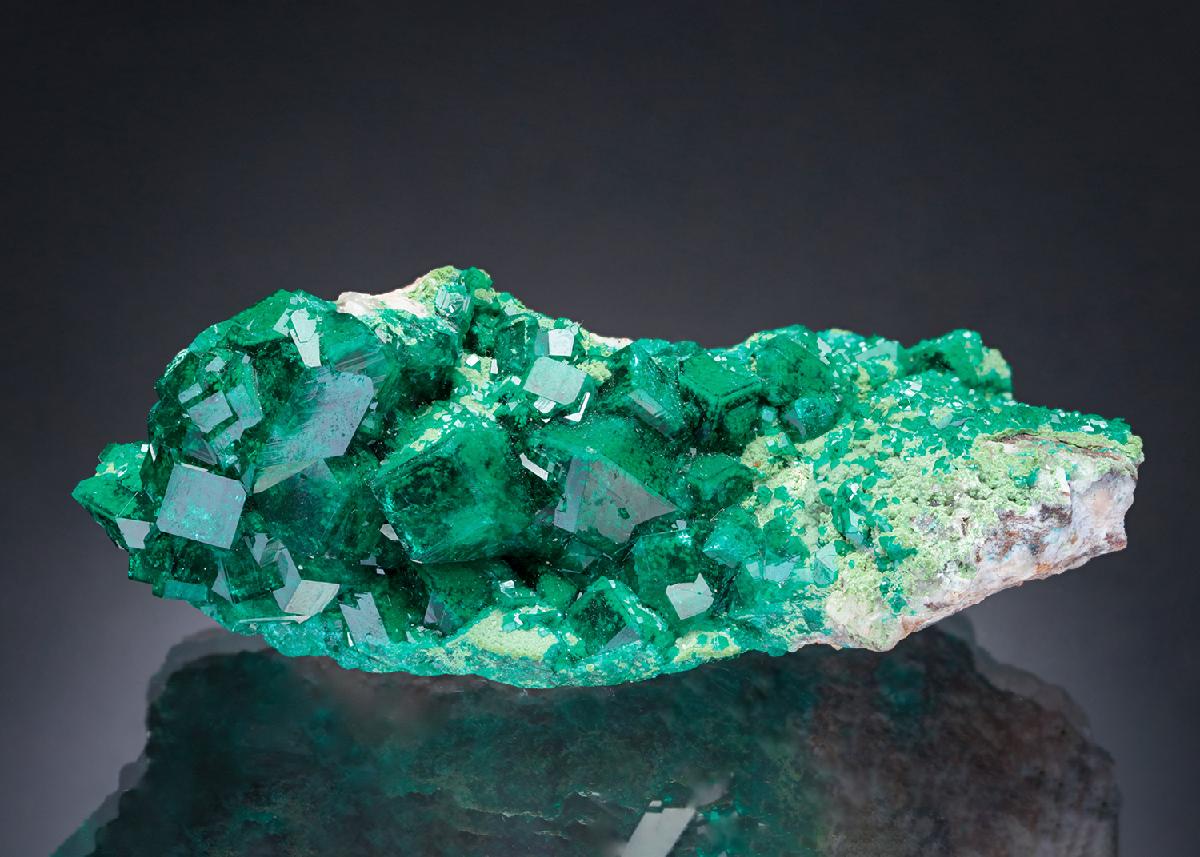 CC5796 specimen image