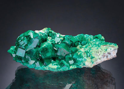 CC5796 specimen image