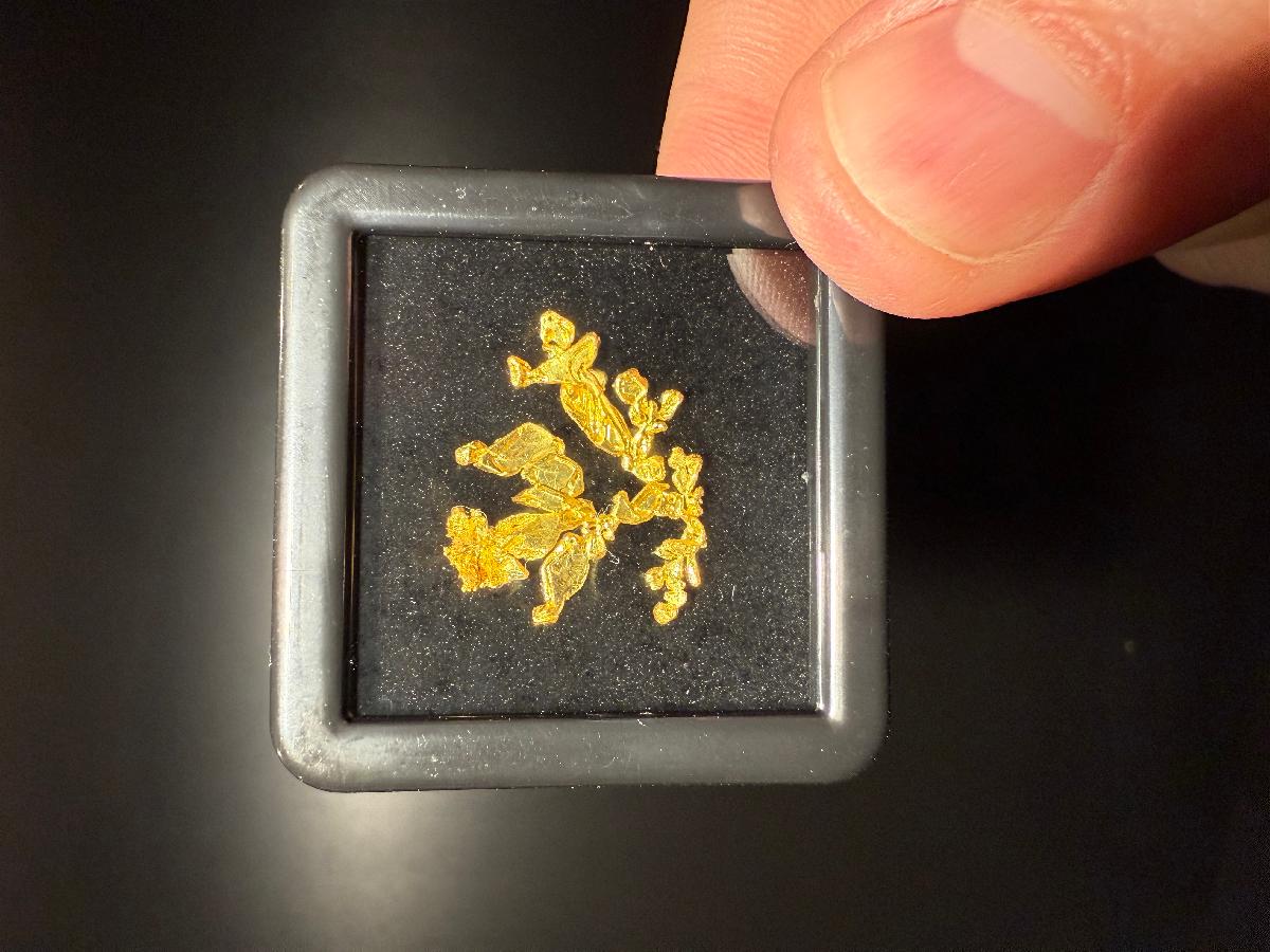 CC57994 specimen image