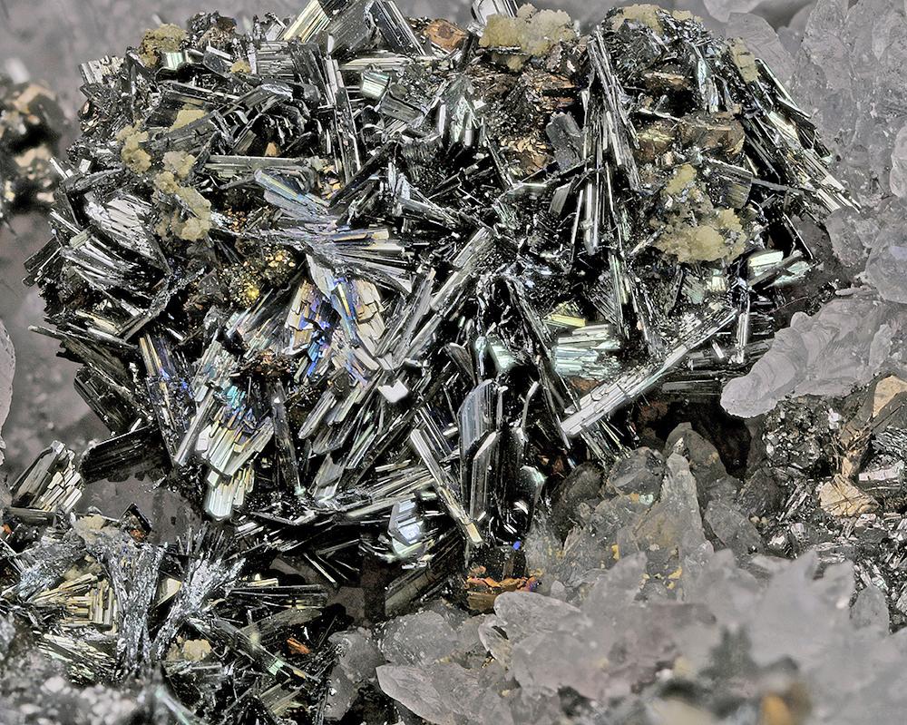 CC5803 specimen image