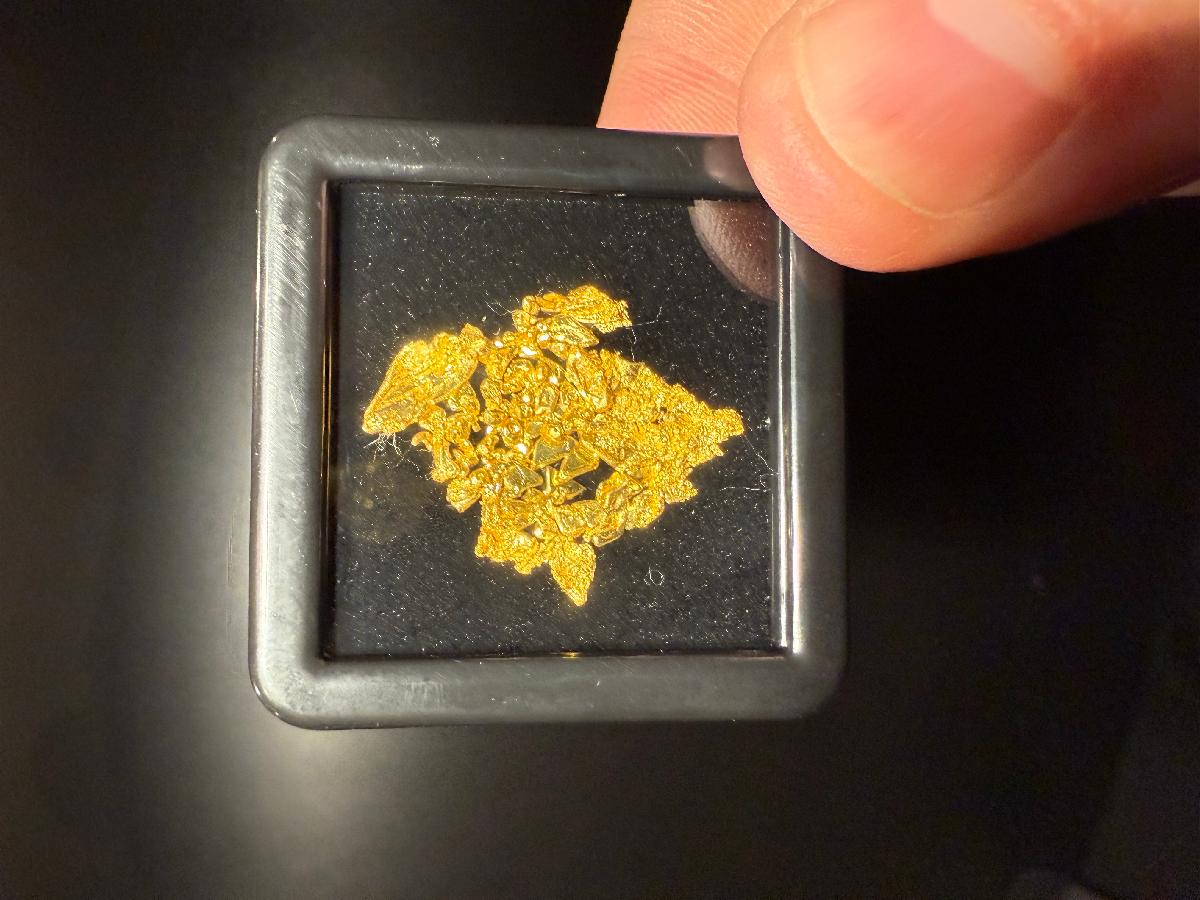CC58038 specimen image