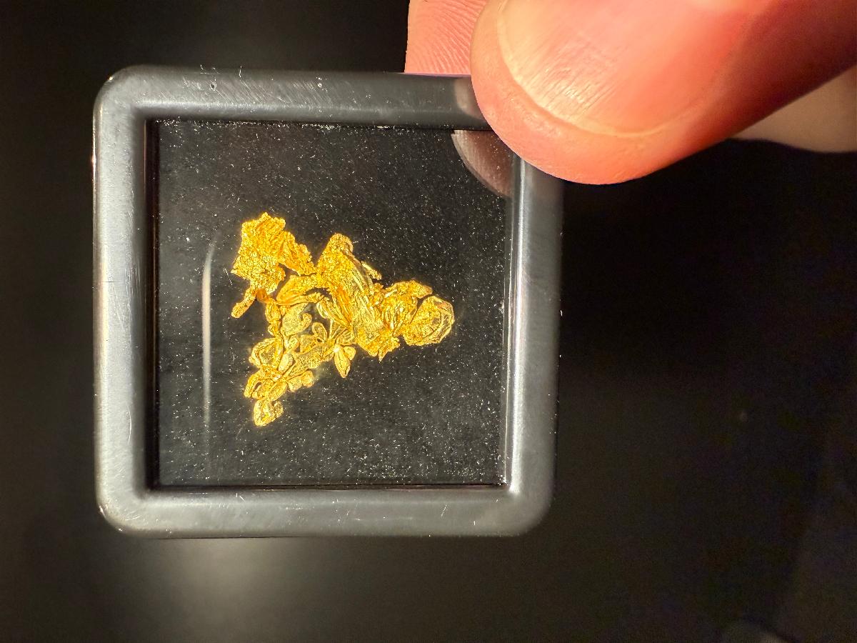 CC58050 specimen image