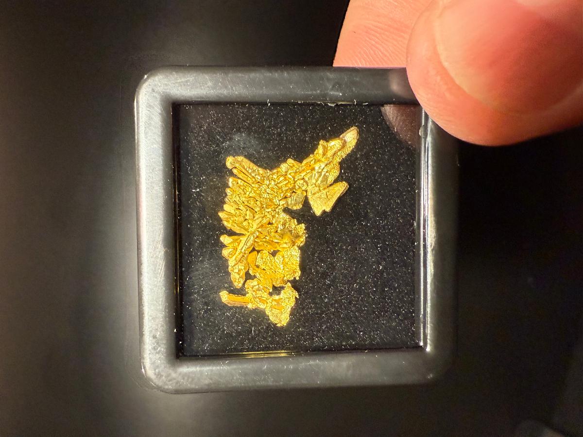 CC58062 specimen image