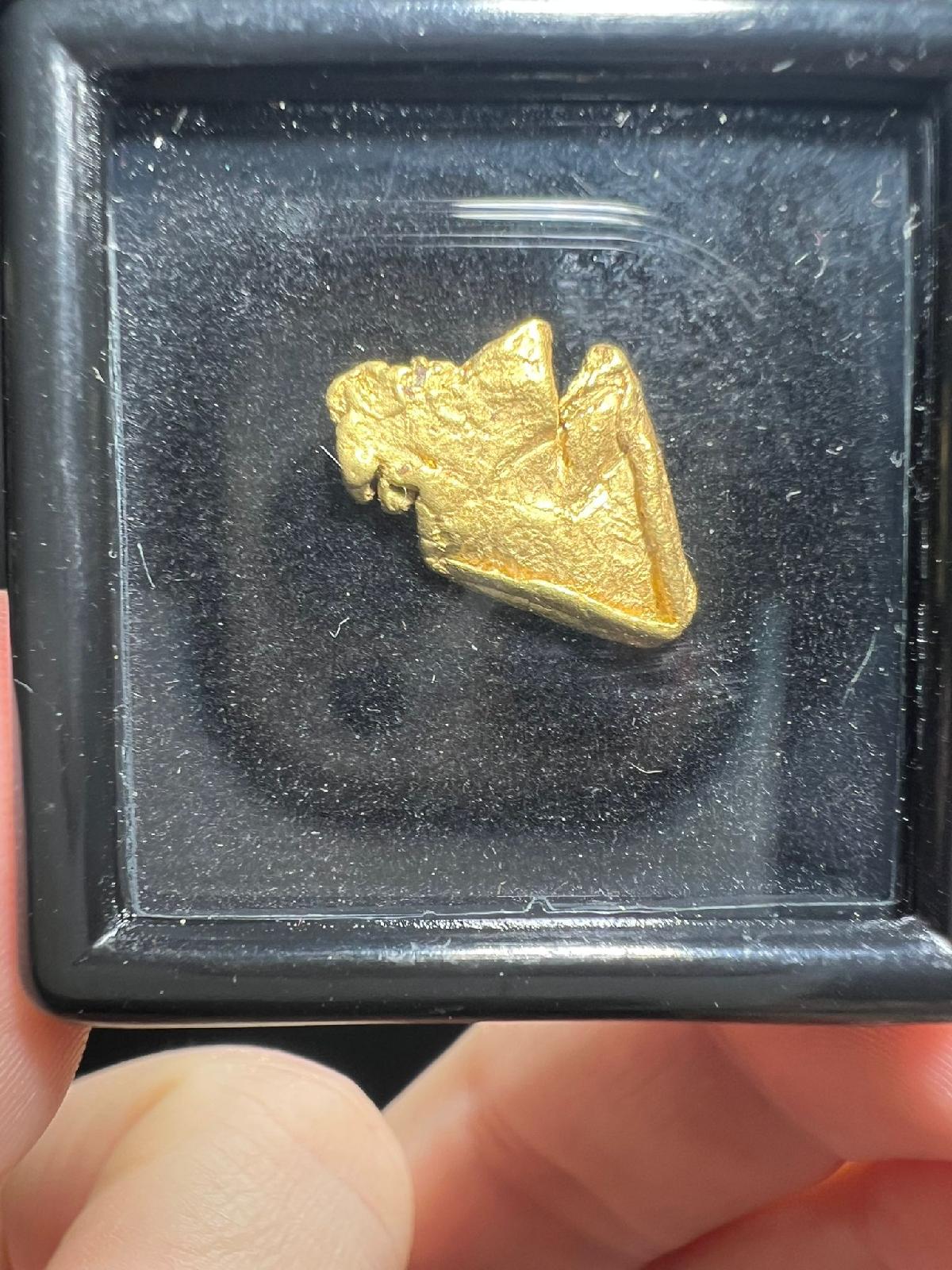 CC58131 specimen image