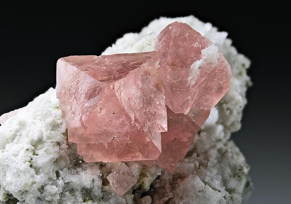 CC5819 specimen image