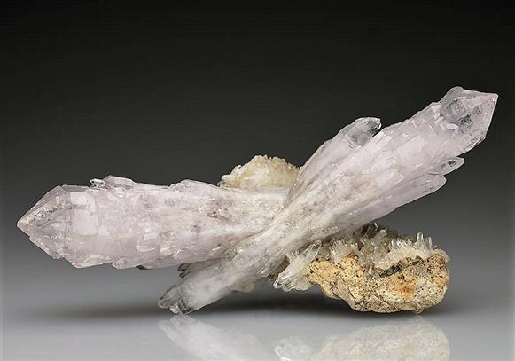 CC5843 specimen image