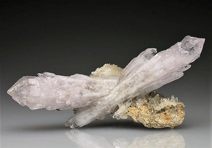 CC5843 specimen image