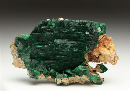 CC5849 specimen image
