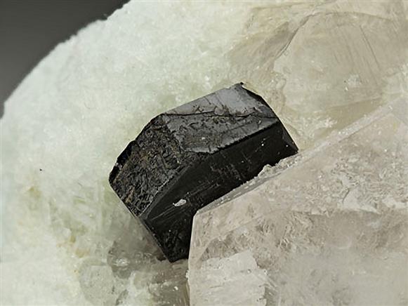 CC5875 specimen image