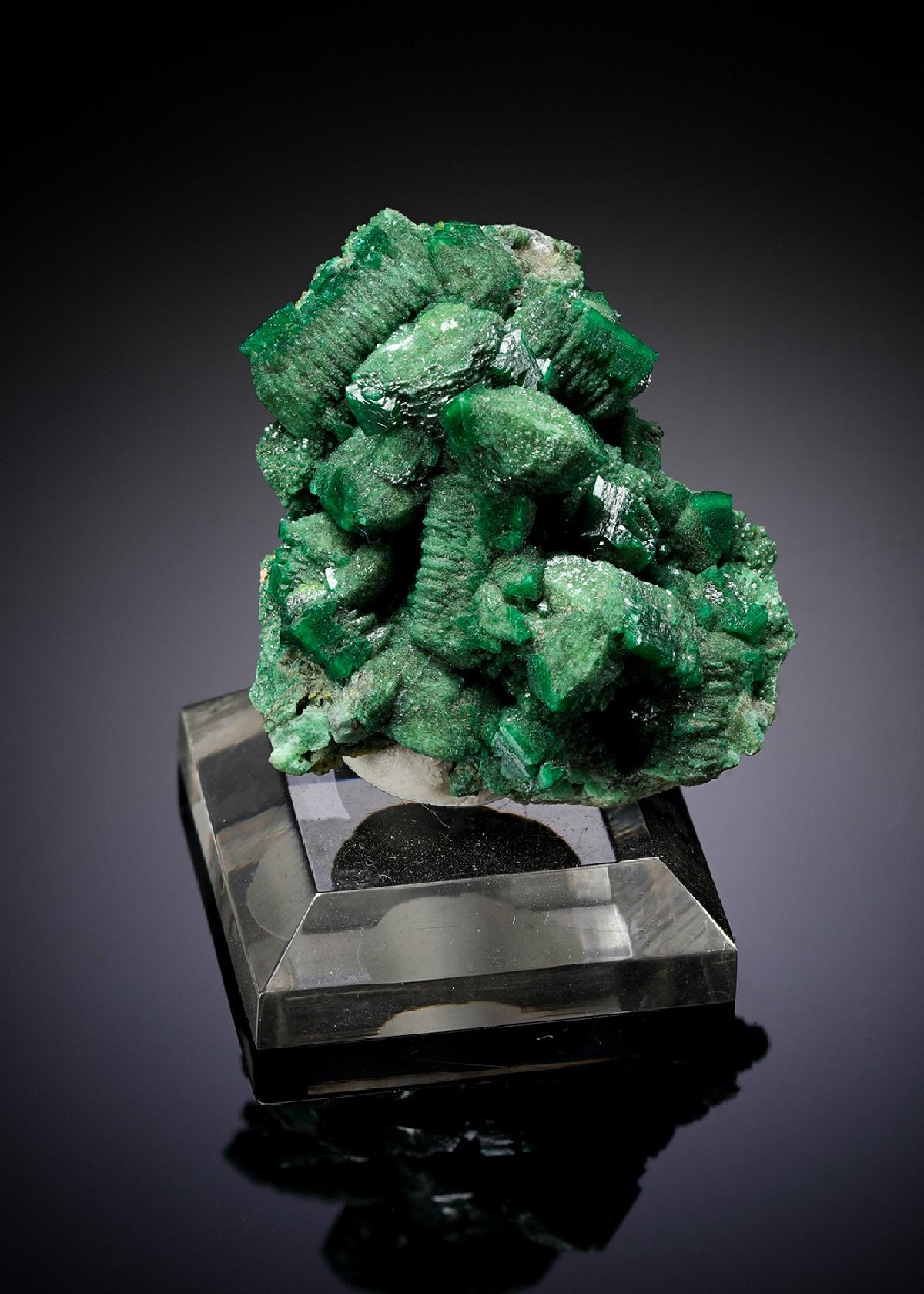 CC5876 specimen image