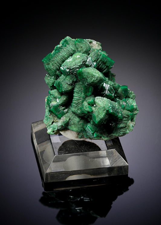 CC5876 specimen image