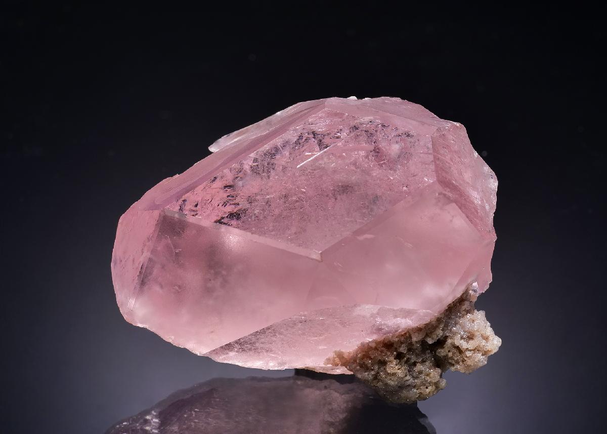 CC58821 specimen image
