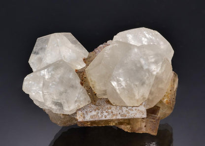 CC58830 specimen image
