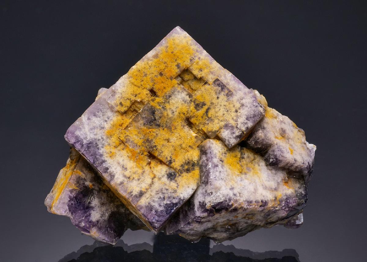 CC58832 specimen image