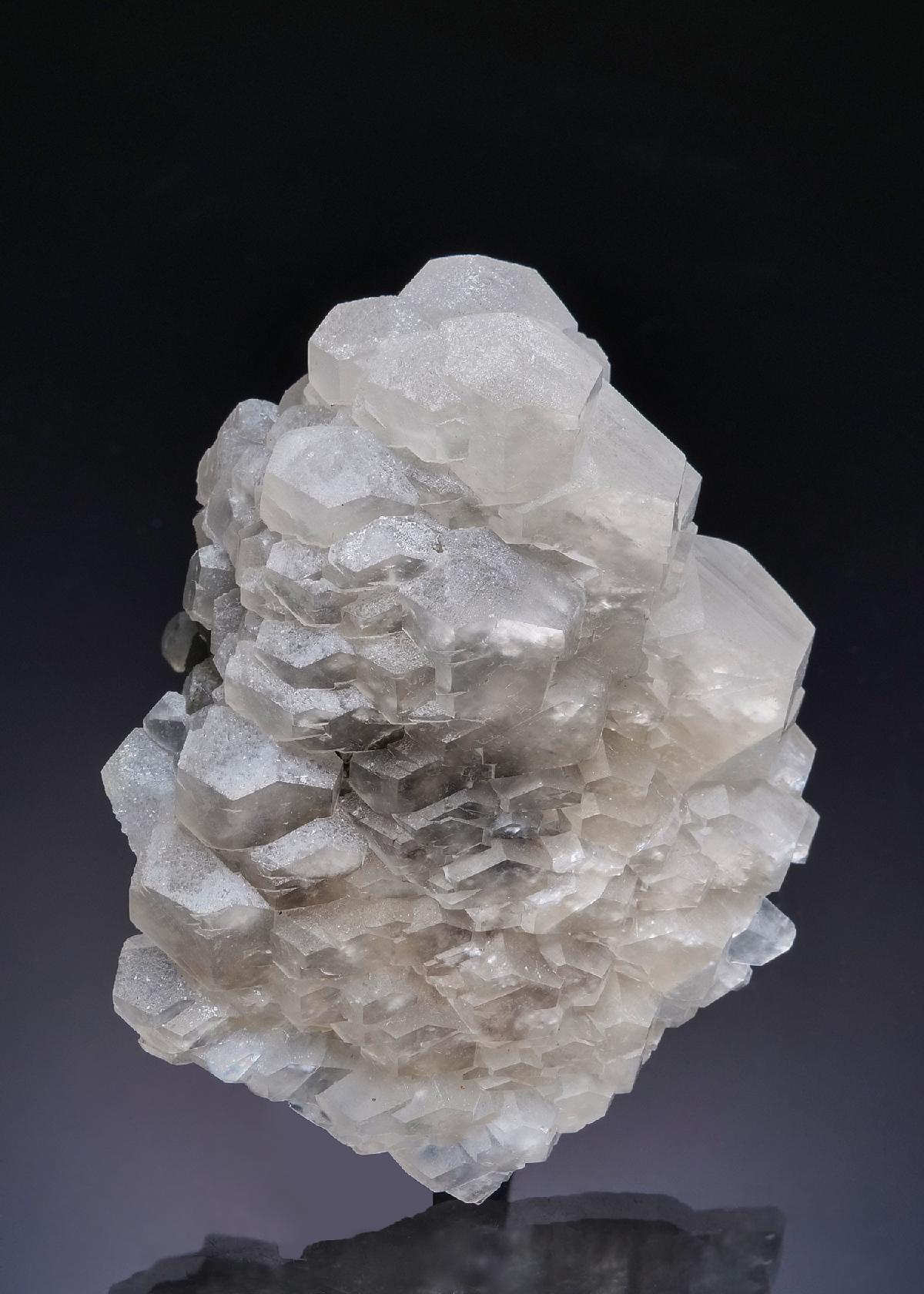 CC58836 specimen image