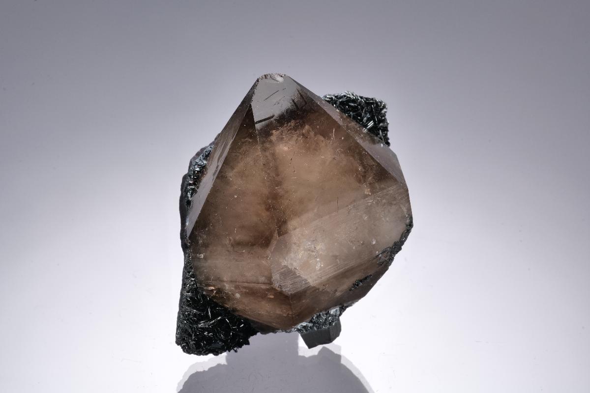 CC58838 specimen image