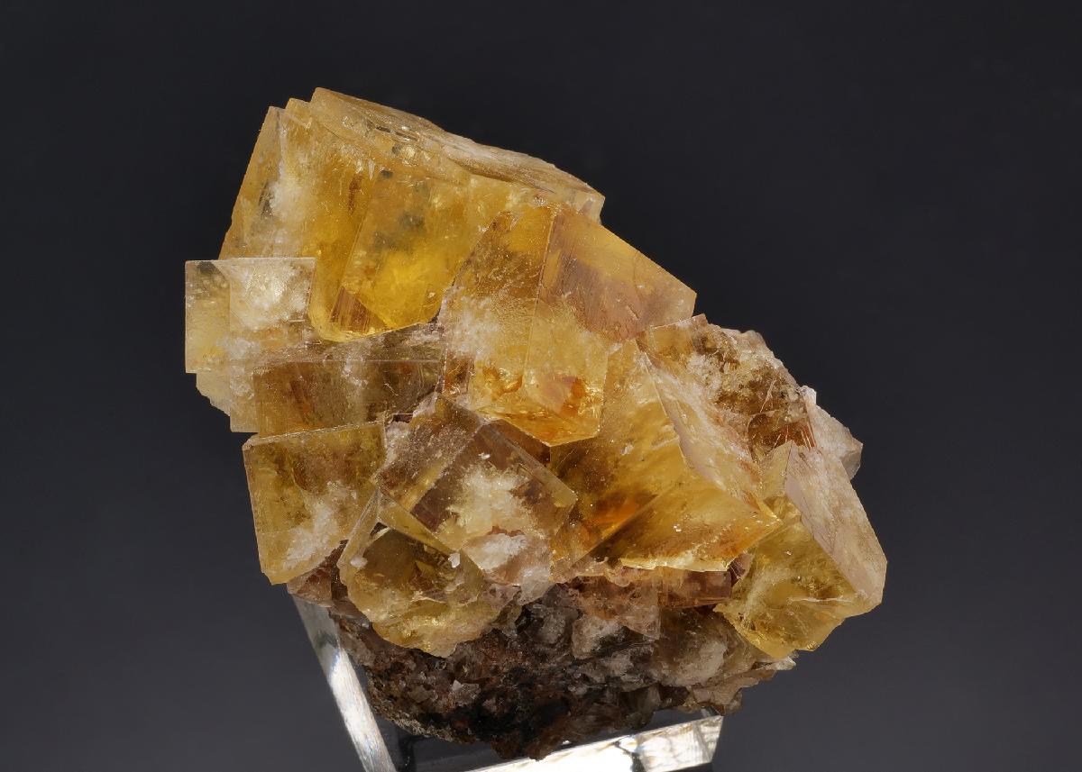 CC58840 specimen image
