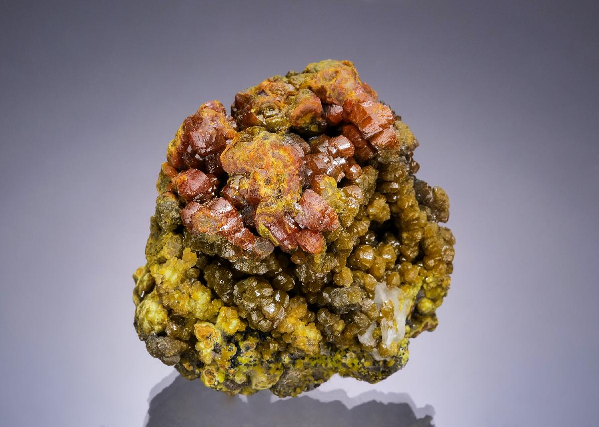 CC58842 specimen image