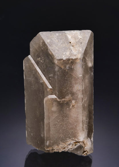 CC58844 specimen image