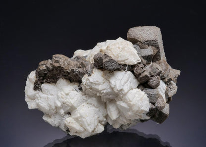 CC58846 specimen image