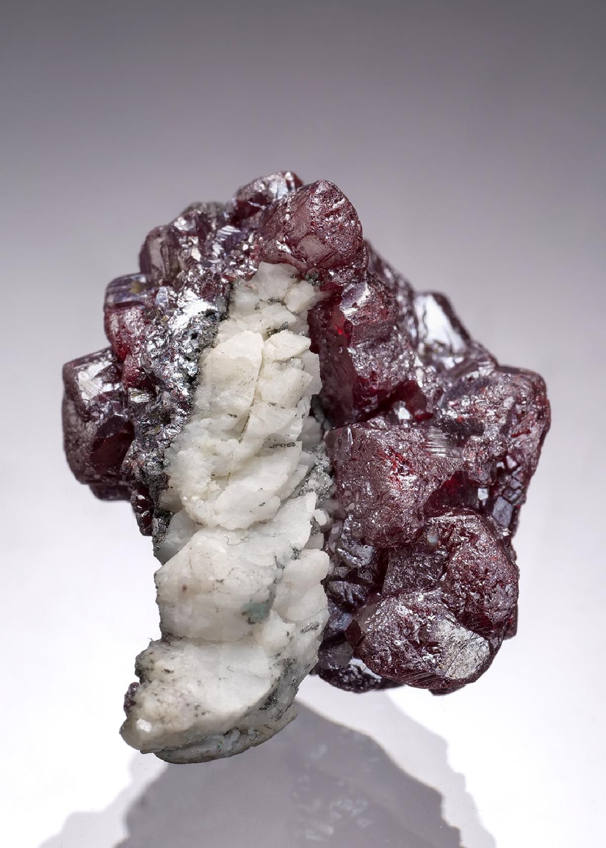 CC58856 specimen image