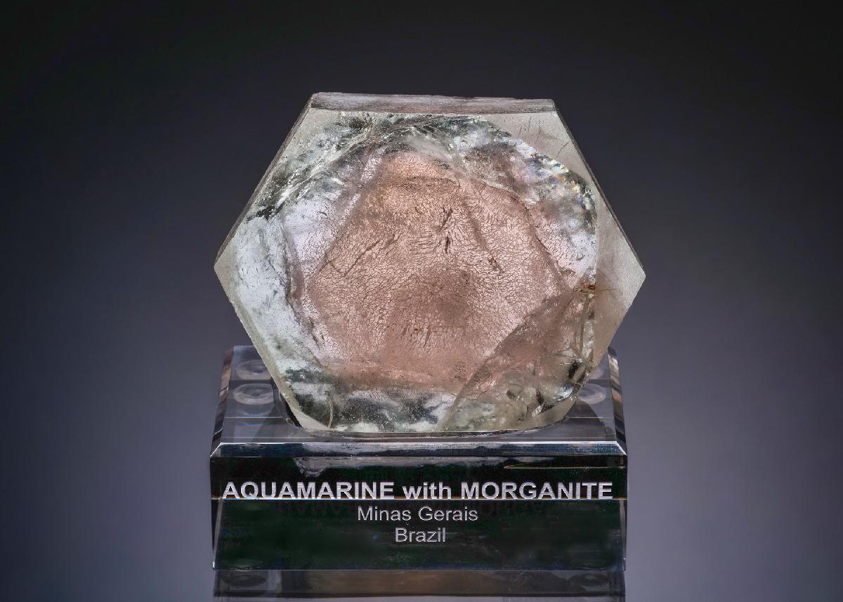 CC58858 specimen image