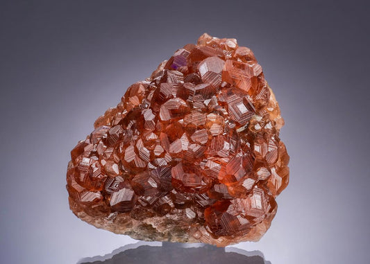 CC58860 specimen image