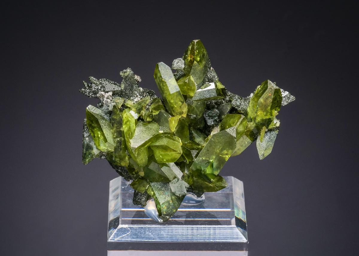 CC58864 specimen image