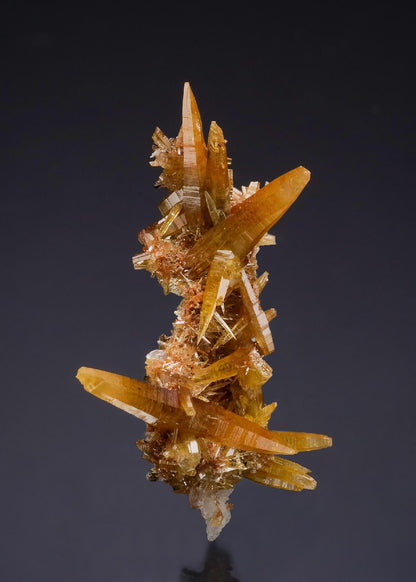 CC58866 specimen image